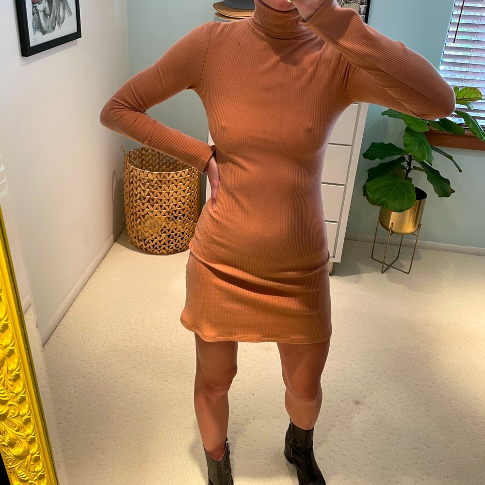 Reformation Turtle Neck thermal dress